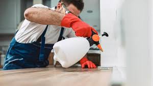 Best Termite Inspection and Treatment  in Teviston, CA